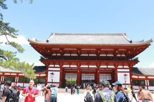 奈良県　東大寺　リハベル　日帰り旅行　日帰りツアー　日本の歴史　奈良空海　大人の遠足　車いすツアー　車いす介助　介護タクシー