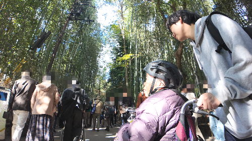 京都　京都嵐山　紅葉ツアー　車いすツアー　高齢者旅行　日帰り旅行　デイサービス旅行　旅行の楽しさ　学生との繋がり　学生の学び