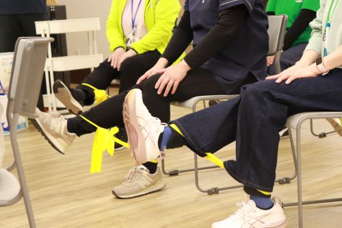 大阪府　藤井寺市　藤井寺　健康　祭り　イベント　モルック　脳トレ　体操　相談　療法士　地域　交流　ストレッチ　筋トレ