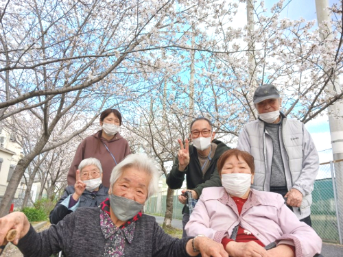 介護職　介護職募集中　介護　お花見　お花見散歩　散歩　介護福祉士　初任者研修　ご利用者　喜ぶ姿　大東市　大阪府大東市　深野　晴天　桜並木