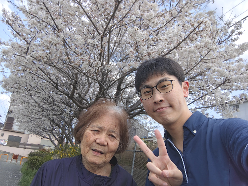 介護職　介護職募集中　介護　お花見　お花見散歩　散歩　介護福祉士　初任者研修　ご利用者　喜ぶ姿　大東市　大阪府大東市　深野　晴天　桜並木